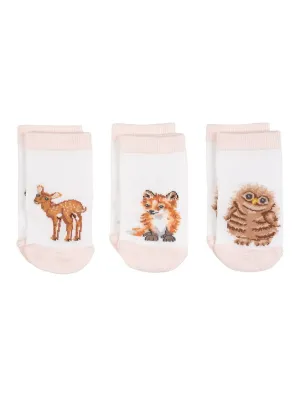 Baby Sock Gift Set - LTW-SOCK002 - Little Forest (6-12 mos)