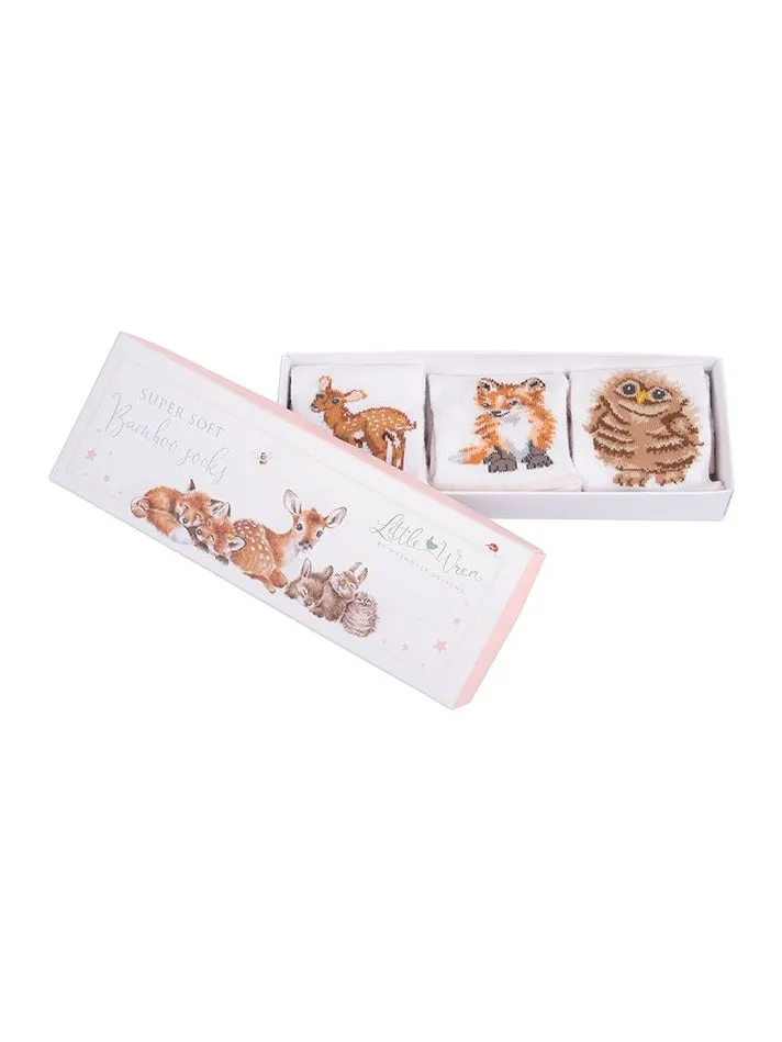 Baby Sock Gift Set - LTW-SOCK002 - Little Forest (6-12 mos)