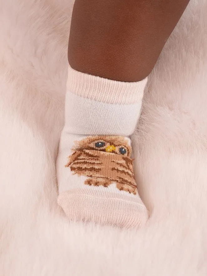 Baby Sock Gift Set - LTW-SOCK002 - Little Forest (6-12 mos)